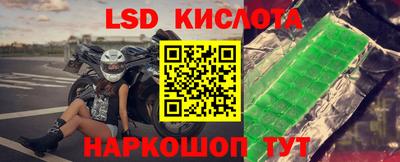 гашик Кулебаки