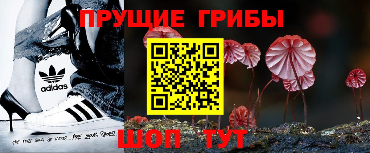Галлюциногенные грибы Psilocybine cubensis  Псилоцибиновые грибы GOLDEN TEACHER  Азов  цена   Вход с VPN 