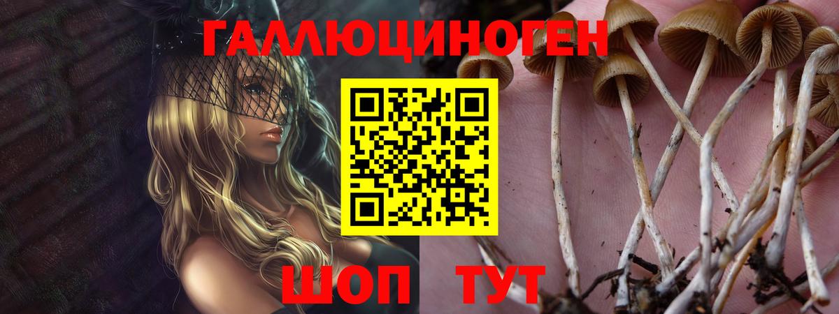 Псилоцибиновые грибы MAGIC MUSHROOMS Азов